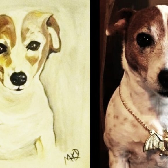 Your dog or cat or horse in acryllic - Picture 3 of 4